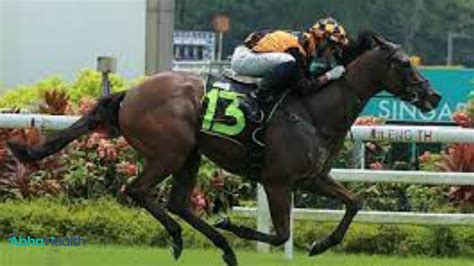 kj168 Race Result 2023, Hong Kong Horse Racing .